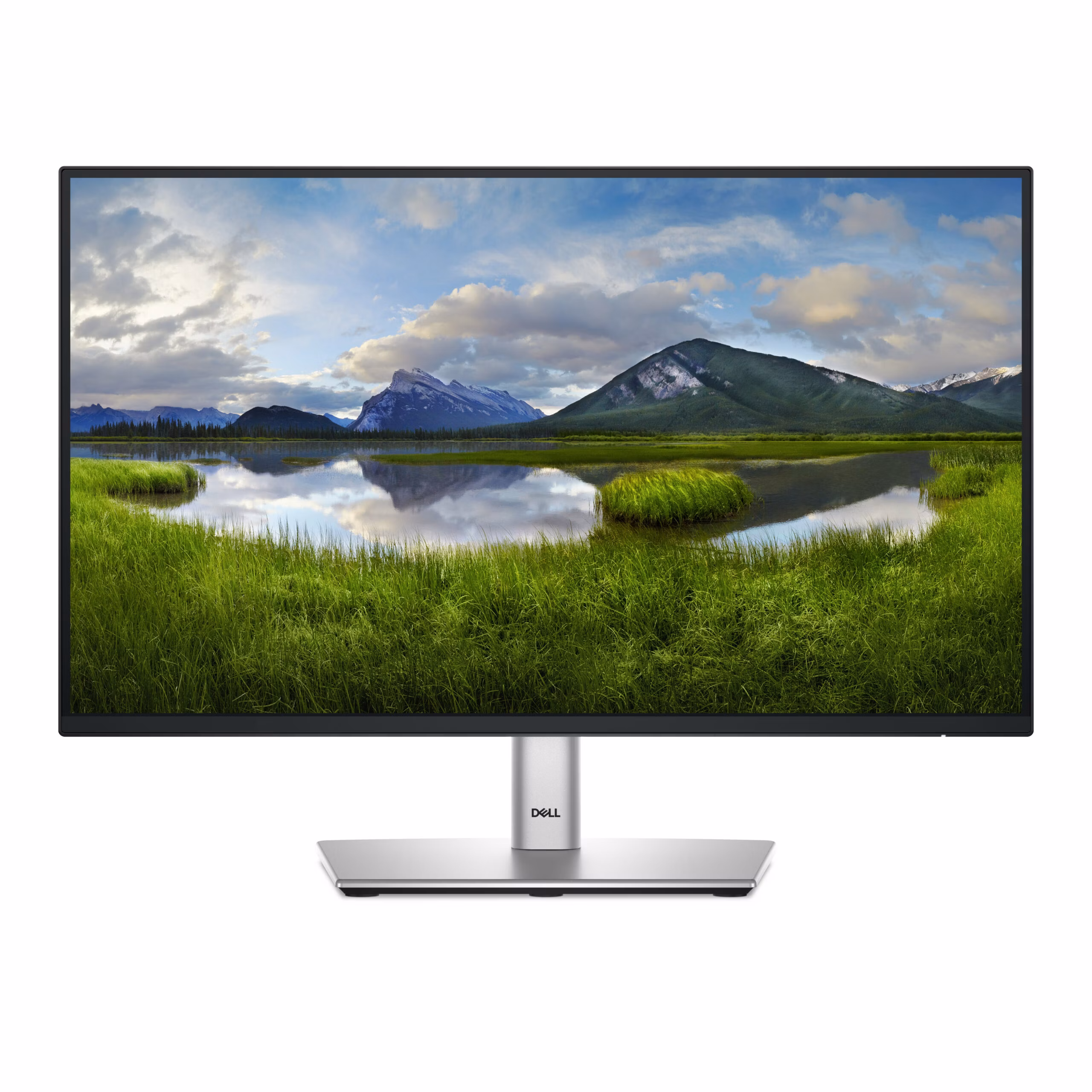 Monitor Dell P2225H 21'' FullHD IPS USB-C 100Hz Grigio Metallico