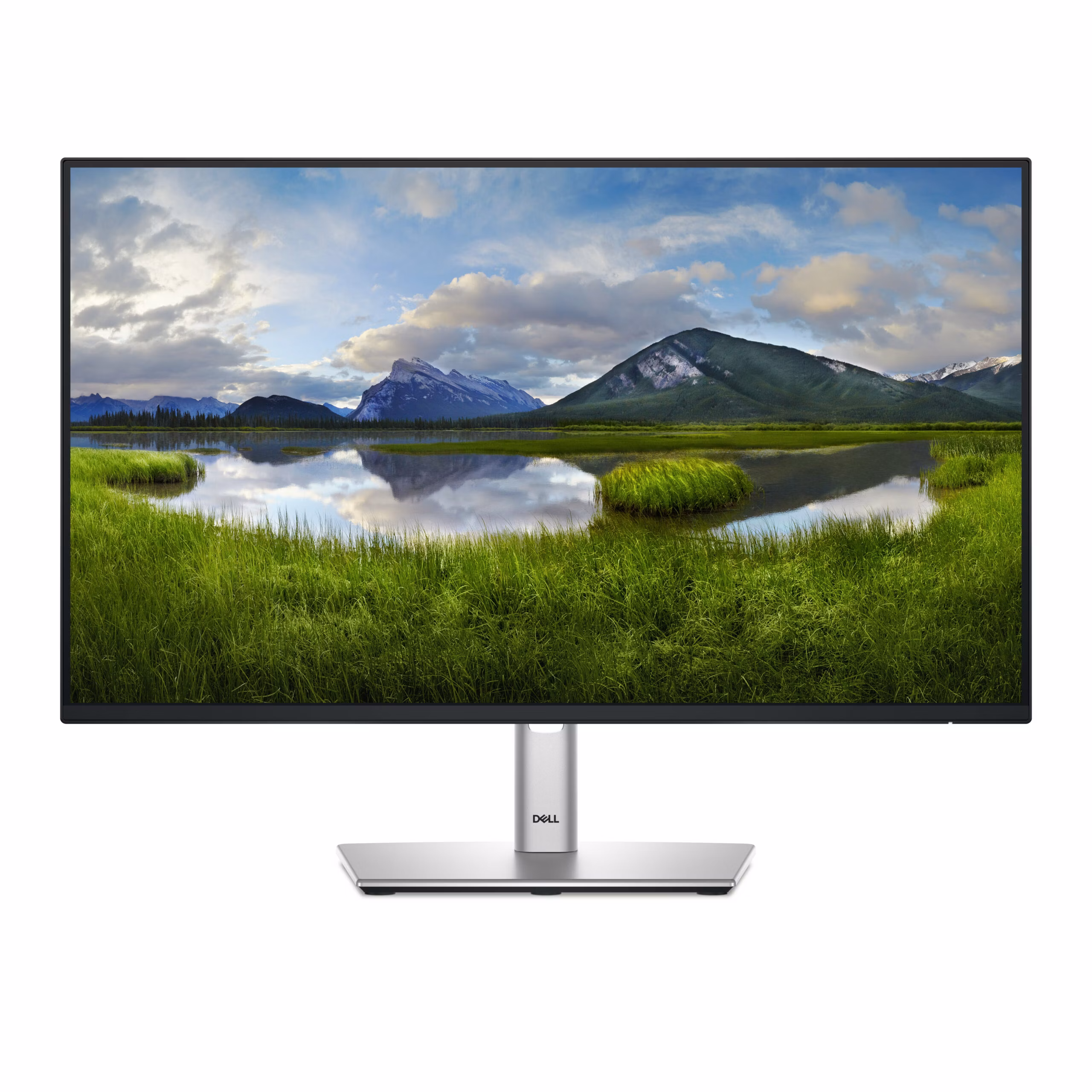 Monitor Dell P2425H 24'' FullHD IPS USB-C 100Hz Grigio Metallico
