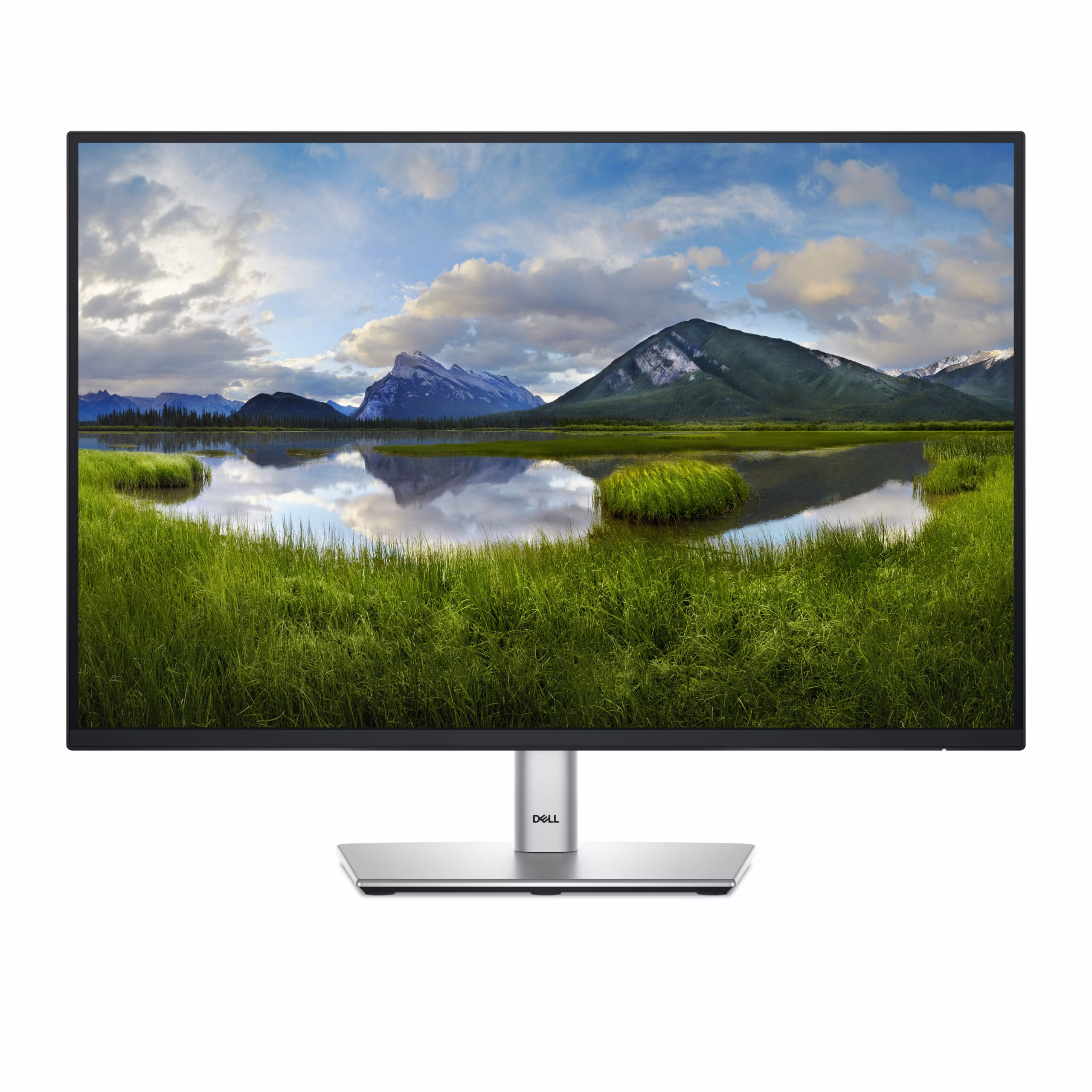 Monitor Dell P2425 24'' WUXGA IPS USB-C 100Hz Grigio Metallico