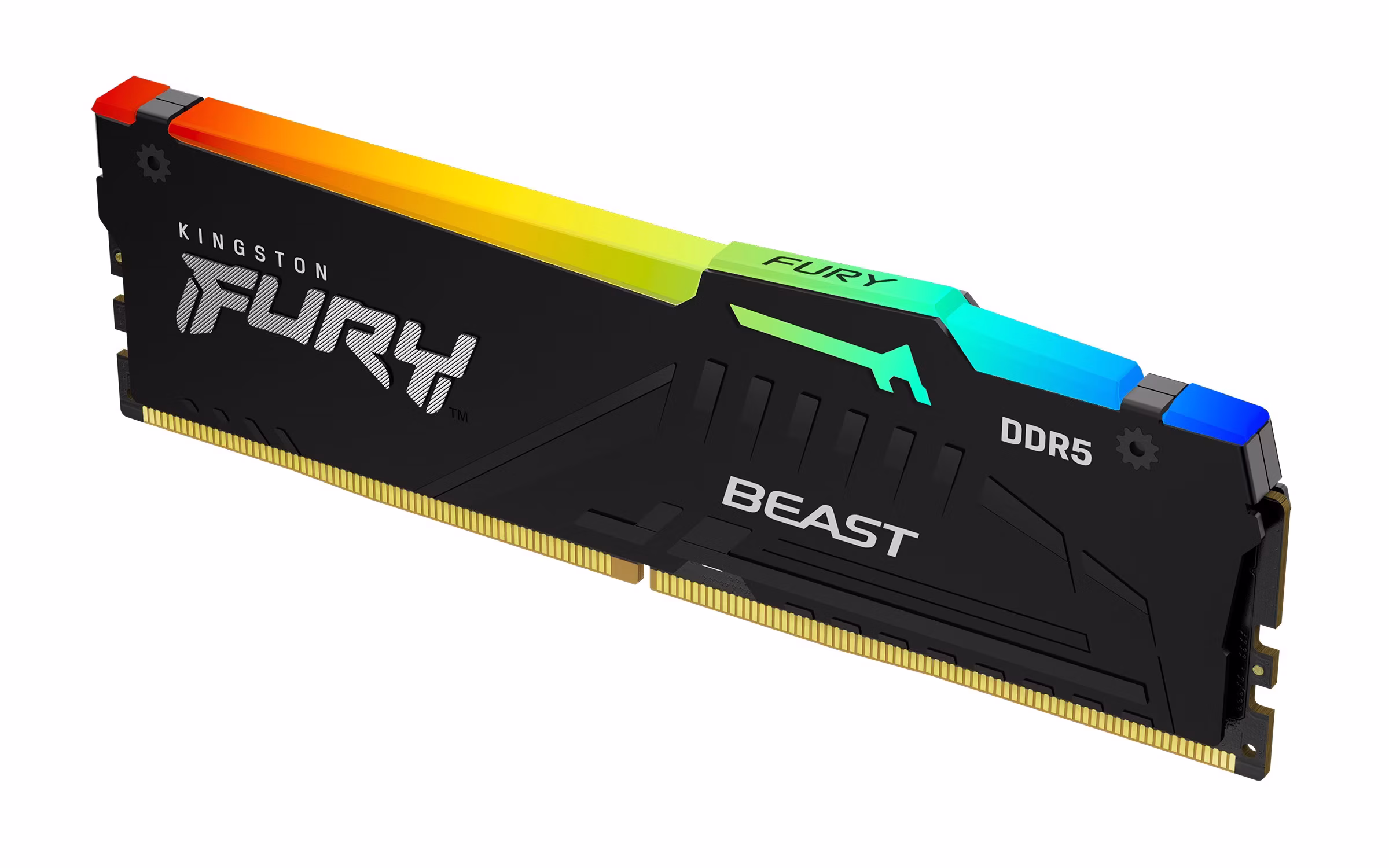 Ram KINGSTON FURY BEAST DDR5 5600MHz 16GB (1x16) RGB EXPO XMP 3.0 CL36 NERO