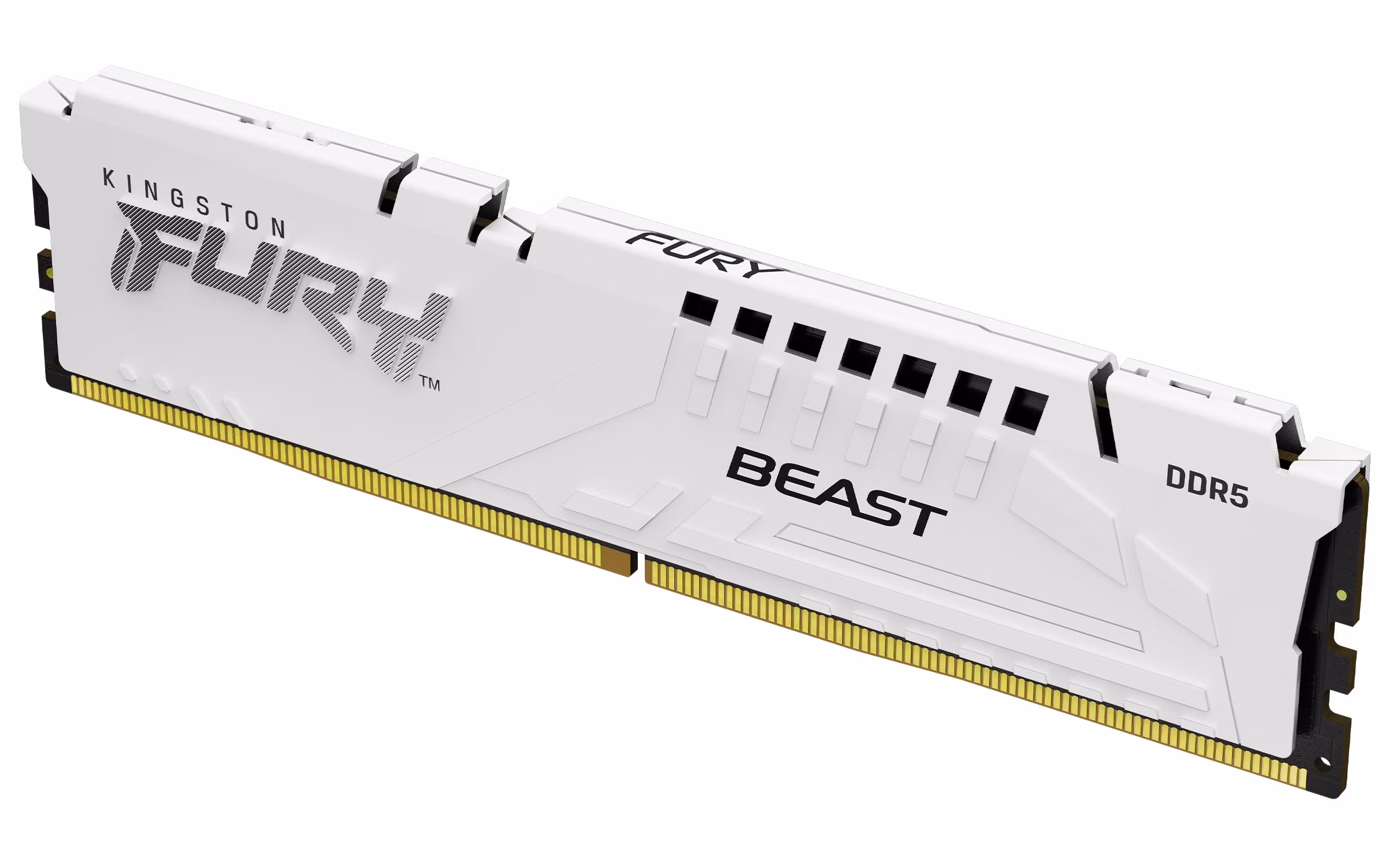 Ram Kingston Fury Beast DDR5 6000Mhz (1x16) 16GB nero xmp expo CL36
