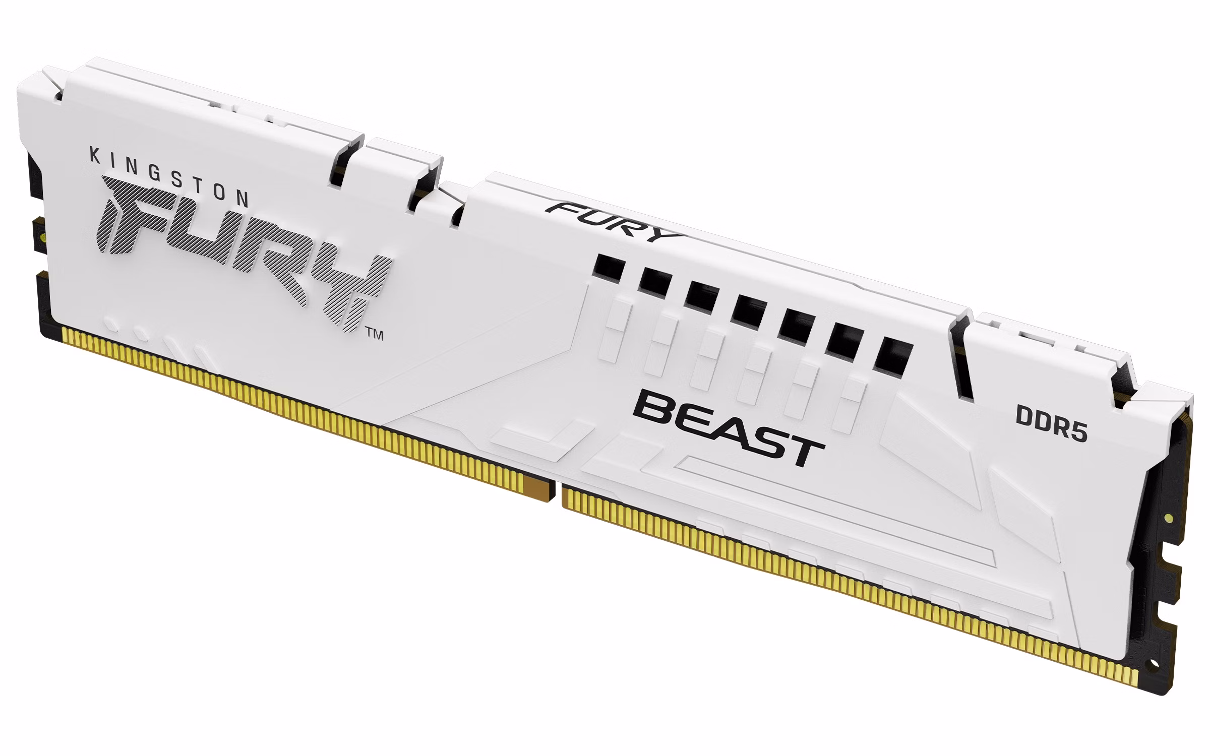 Ram Kingston Fury Beast DDR5 6000Mhz (1x16) 16GB rgb bianco xmp expo CL30