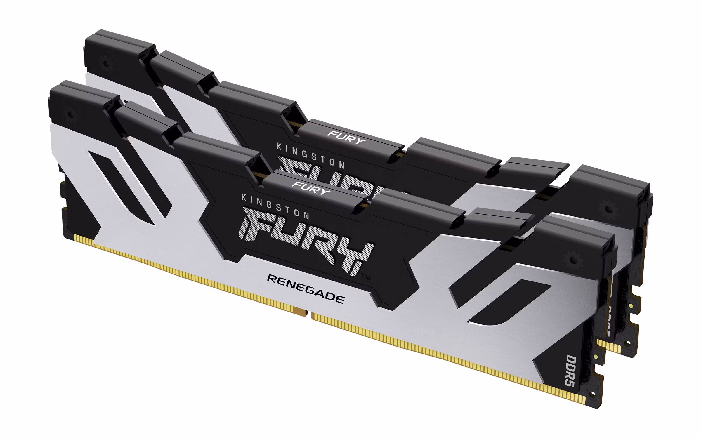 Ram KINGSTON FURY RENEGADE DDR5 6400MHz 96GB (2x48) XMP 3.0 CL32 ARGENTO