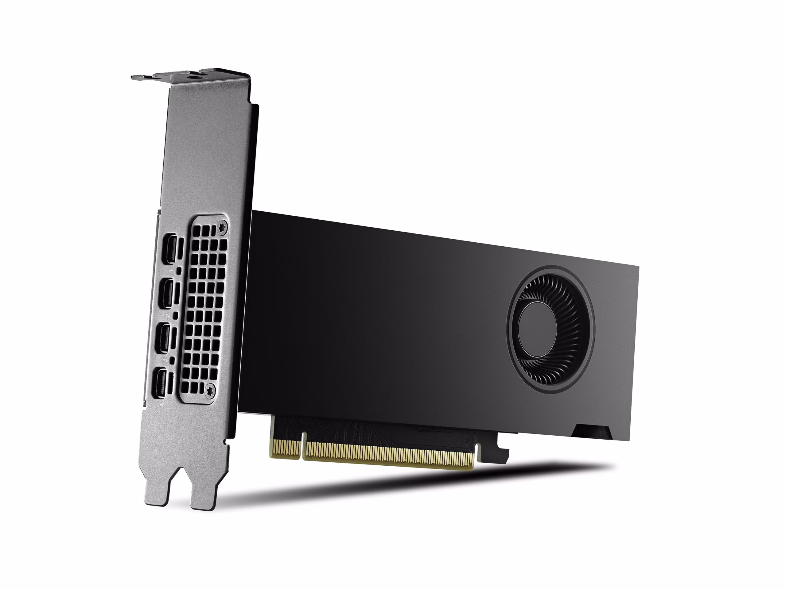 Scheda Video PNY Quadro RTX 2000 ADA 16 GB 1 Scheda Video PNY Quadro RTX 2000 ADA 16 GB
