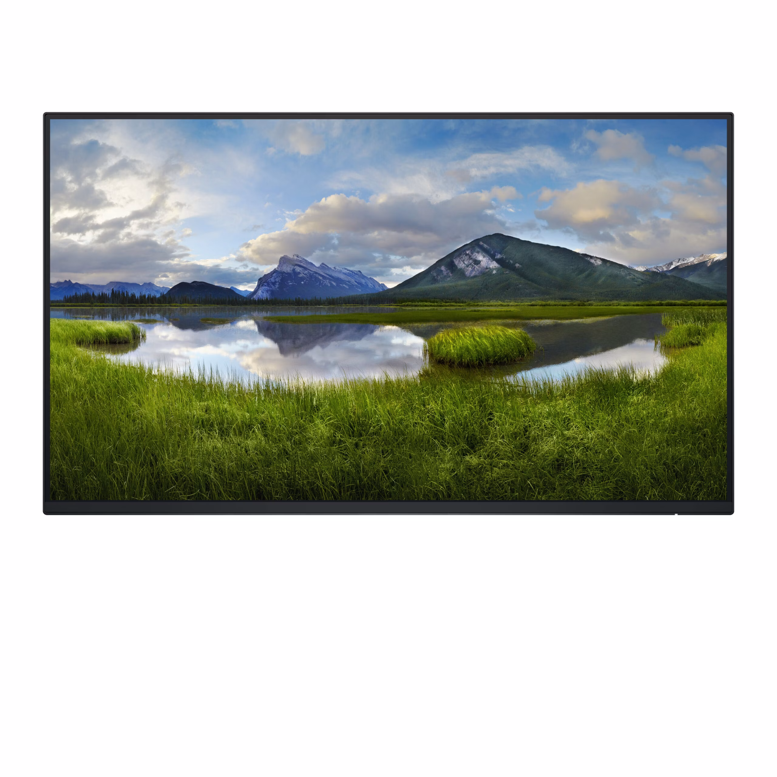 Monitor Dell P2425HEWO 24 Pollici IPS HDMI DP USB C No Stand Versione retail