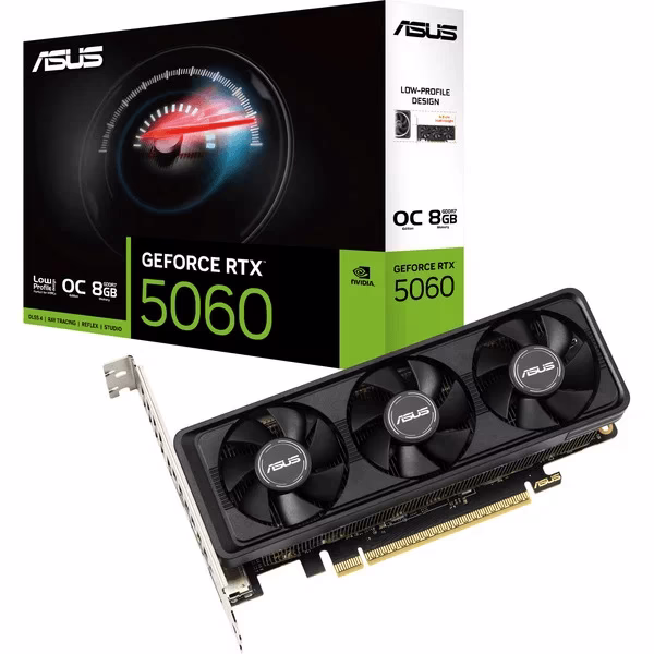 Scheda Video ASUS Nvidia GeForce RTX 5060 LP BRK OC 8GB Nero