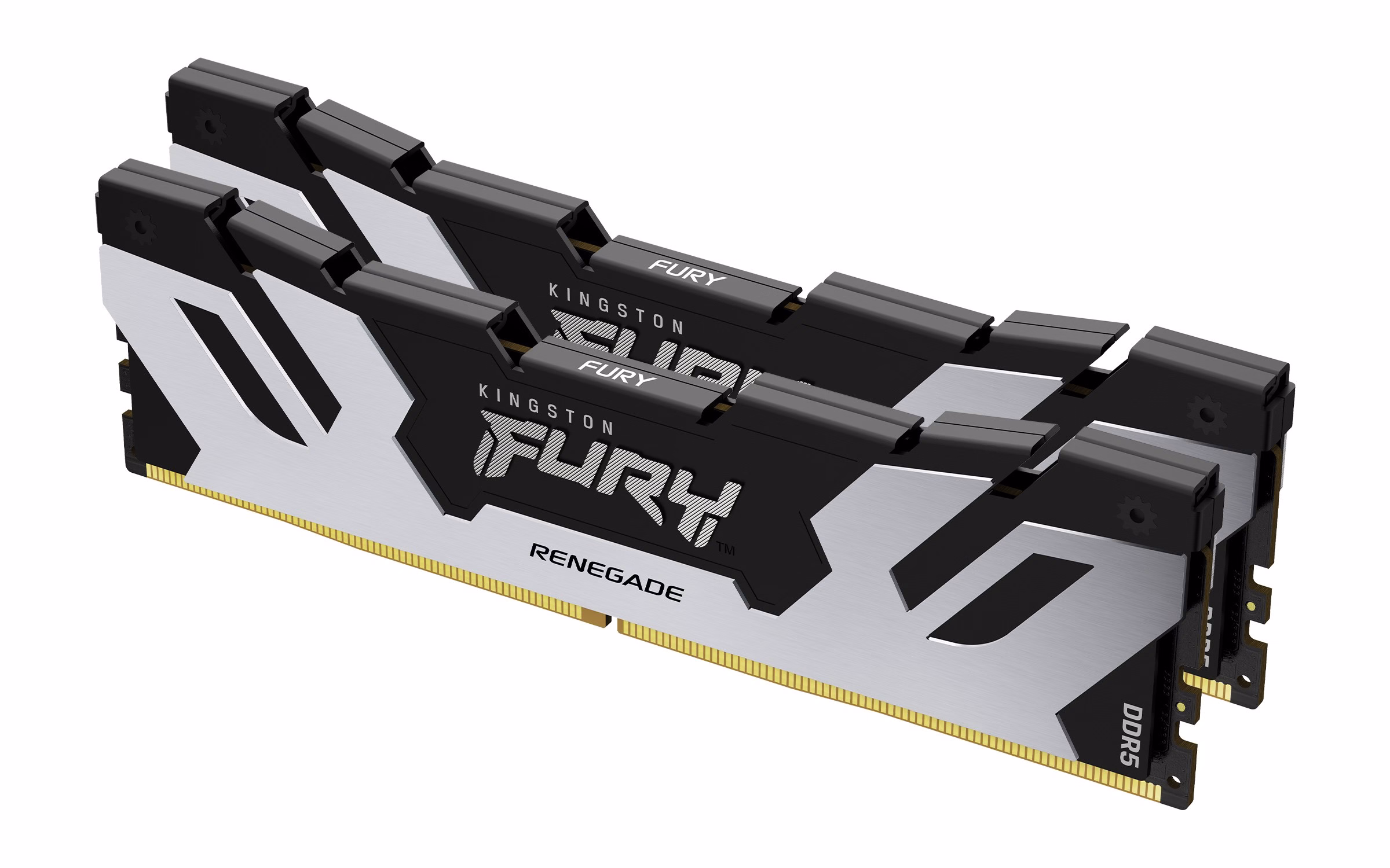 Ram KINGSTON FURY RENEGADE DDR5 6400MHz 96GB (2x48) XMP 3.0 CL32 ARGENTO